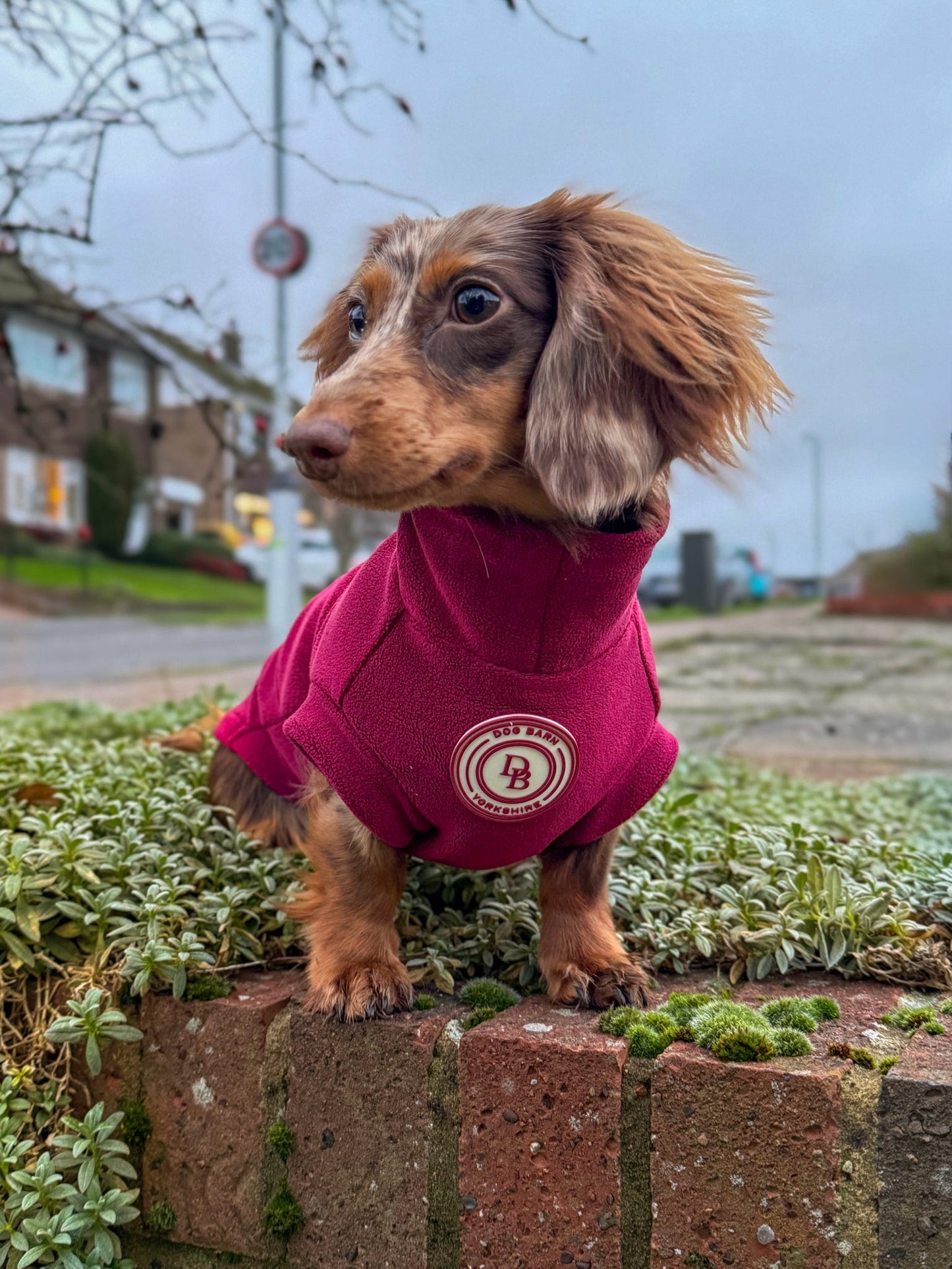 Berry Moors Dachshund Fleece
