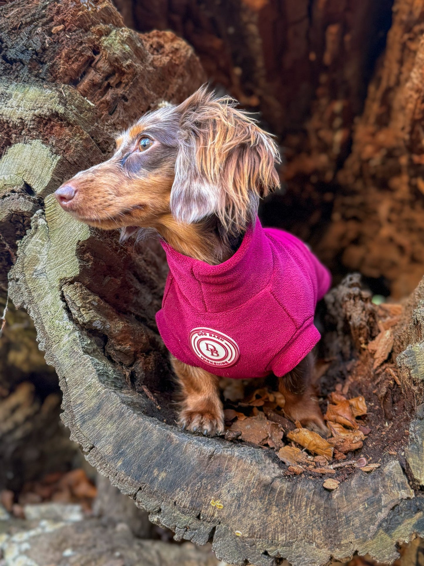 Berry Moors Dachshund Fleece