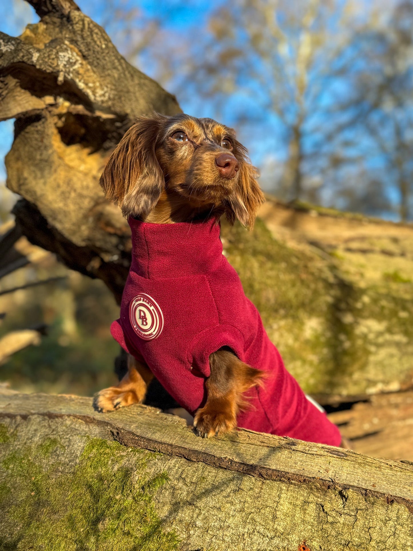 Berry Moors Dachshund Fleece