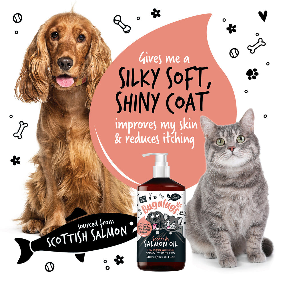 Bugalugs Salmon Oil 500ml