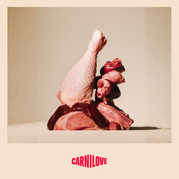 Carnilove True Fresh Turkey