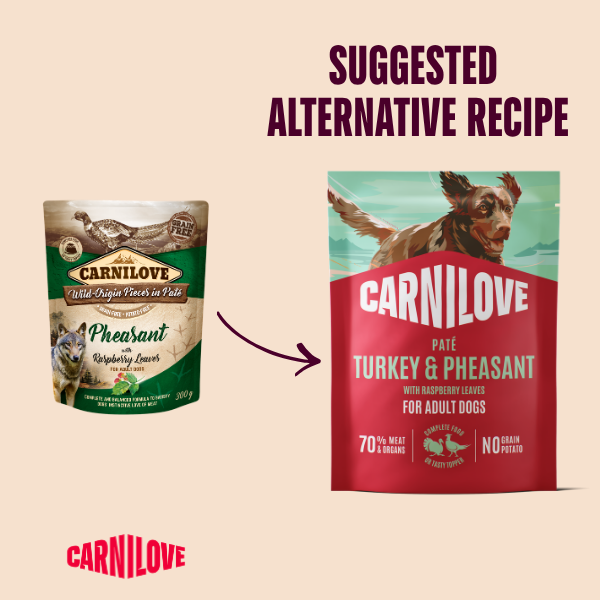 Turkey & Pheasant with Raspberry Leaves Paté Dog Food Pouch 300g