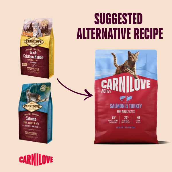 Active Salmon & Turkey Cat Food for Adult Cats