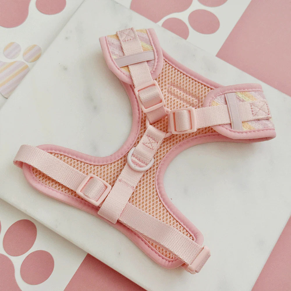 Pastel Stripes Adjustable Neck Harness