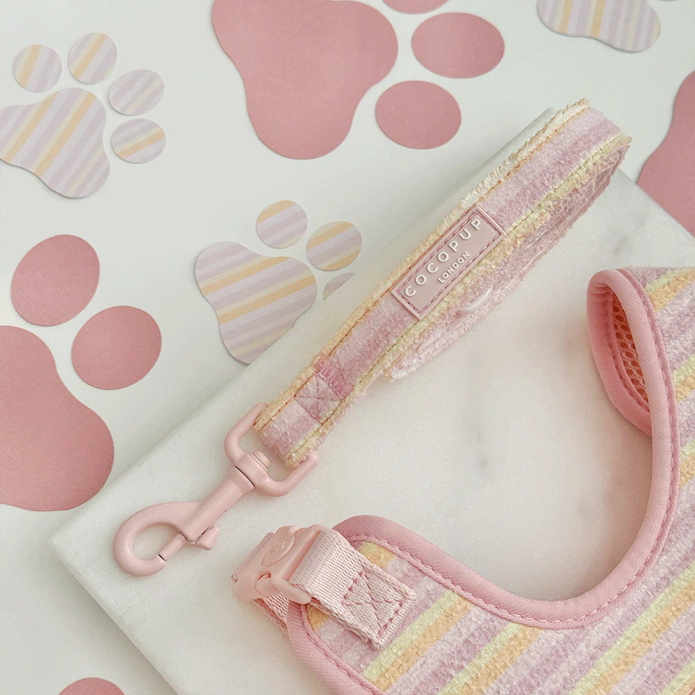 Pastel Stripes Lead