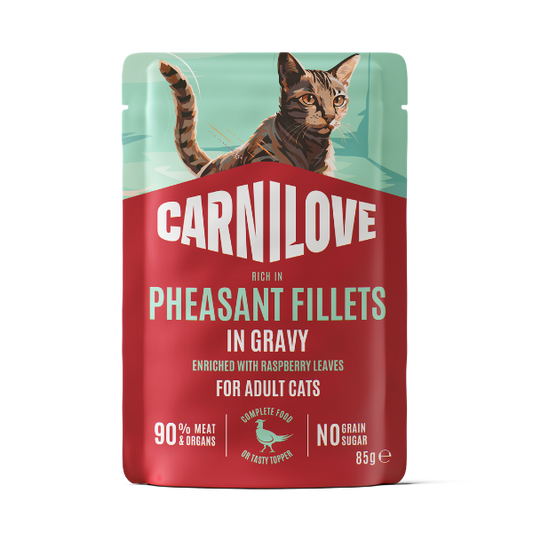 Pheasant Enriched with Raspberry Leaves Cat Pouch in Gravy 85g