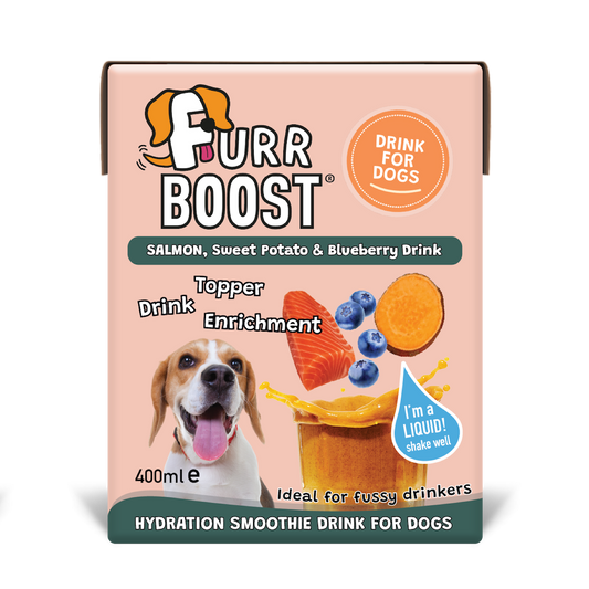 Salmon, Sweet Potato and Blueberry Dog Drink 400ml