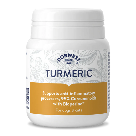 Turmeric Tablets For Dogs And Cats