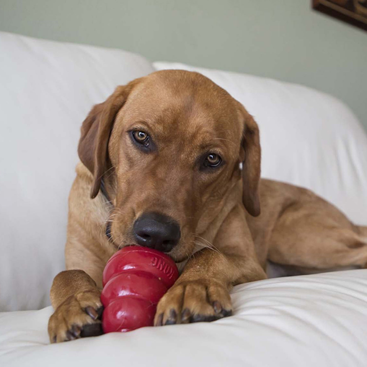 KONG Easy Treat Peanut Butter