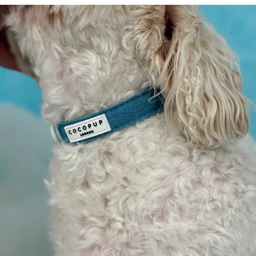 Cloud Nine Collar