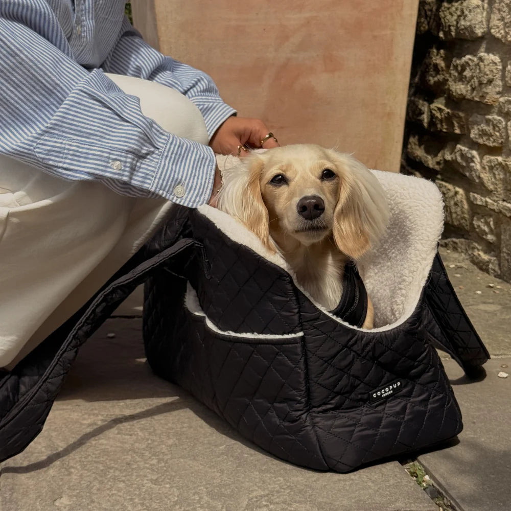 Quilted Black Dog Carrier