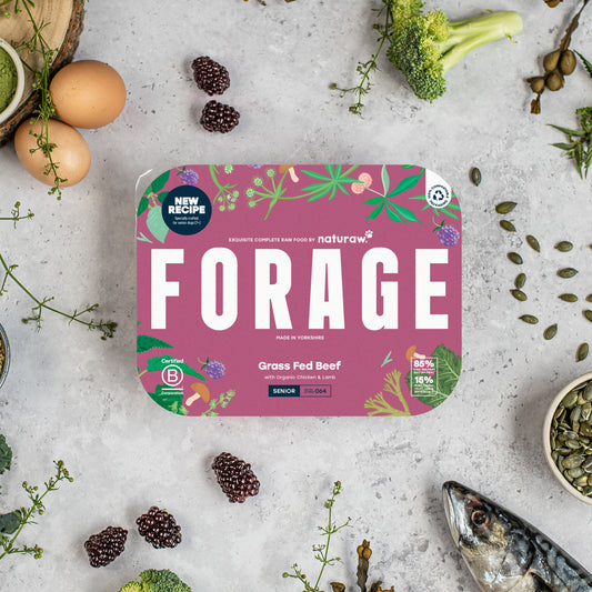 Naturaw Forage Senior: Grass Fed Beef 500g